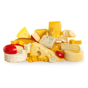 DAIRY CHEESE